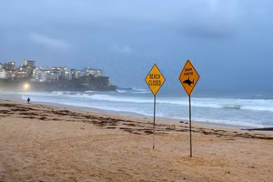 Biển báo cảnh báo cá mập trên một bãi biển ở Úc.