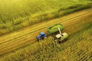 155 công dân Nga có tên trong danh sách tỷ phú thế giới năm 2026 của Forbes.