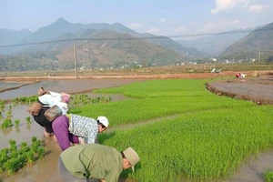 Nhờ làm tốt công tác xoá nghèo, đời sống của người dân xã Yên Châu ngày càng nâng cao.