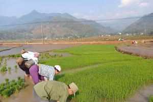 Nhờ làm tốt công tác xoá nghèo, đời sống của người dân xã Yên Châu ngày càng nâng cao.