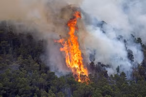 Cháy rừng dữ dội trên những ngọn đồi Torre de la Pena, ngay phía sau thị trấn nghỉ dưỡng xinh đẹp Tarifa, ngày 6/8/2025.