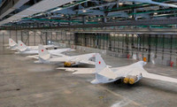 ham-7.jpg