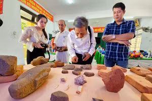 Công bố nhiều phát hiện mới tại di tích Tháp đôi Liễu Cốc, TP Huế. (Ảnh: P.T.H.).