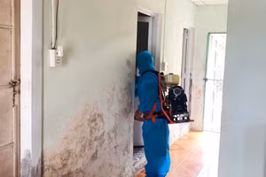 Cán bộ y tế TP Huế phun thuốc tại các khu vực có người mắc bệnh liên cầu lợn.