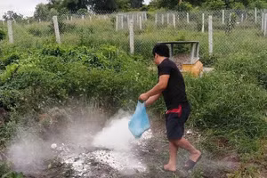 Khử trùng khu vực lò mổ có các con lợn chấm đỏ tại TP Huế. (Ảnh: H.D)