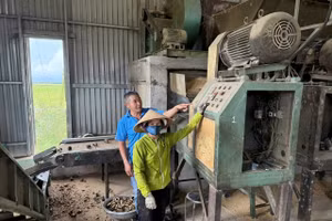 Với ý tưởng biến vỏ trấu thành củi trấu, hộ gia đình ông Lê Đức (xã Quảng Điền, TP Huế) có thu nhập hàng trăm triệu đồng mỗi năm.