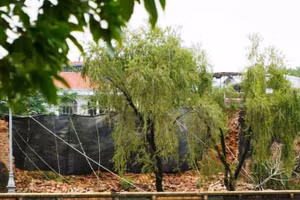 Bức tường Hoàng thành Huế - vòng thành thứ 2 trong Kinh thành Huế bị đổ sập một đoạn gần 15m.