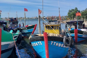 Các tàu cá công suất lớn tại TP Huế đang phát huy hiệu quả, giúp ngư dân thoát nghèo.