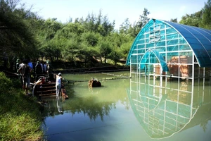 Di tích Tháp Chăm Phú Diên bị ngập sâu trong nước nhiều ngày qua.