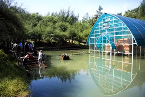 Di tích Tháp Chăm Phú Diên bị ngập sâu trong nước nhiều ngày qua.