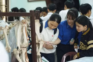 Học sinh THPT trải nghiệm thực tế tại Ngày hội Open Day Trường Đại học Nông lâm, Đại học Huế năm 2025. 