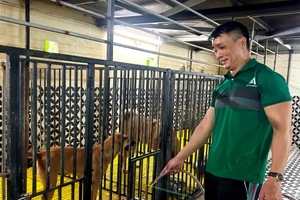 Anh Trần Văn Sơn bên những chú chó được cứu hộ về chăm nuôi.
