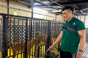 Anh Trần Văn Sơn bên những chú chó được cứu hộ về chăm nuôi. 