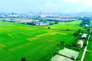 Một trong những vị trí chọn xây dựng khu tái định cư đường sắt cao tốc Bắc - Nam tại TP Huế.
