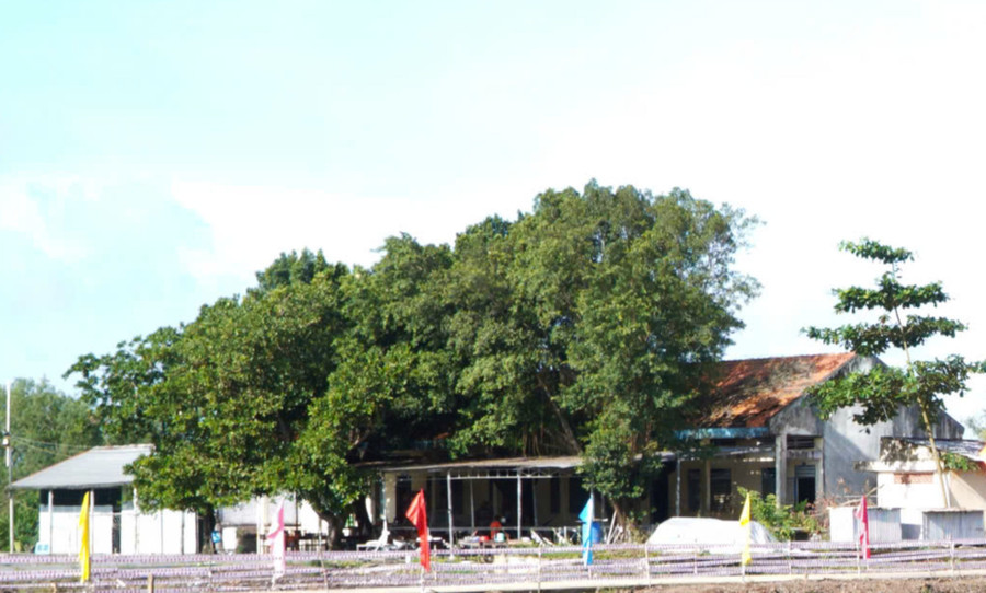 Vĩnh Gia là xã nằm trên tuyến biên giới, cửa ngõ quan trọng phía Tây Nam của tỉnh An Giang.