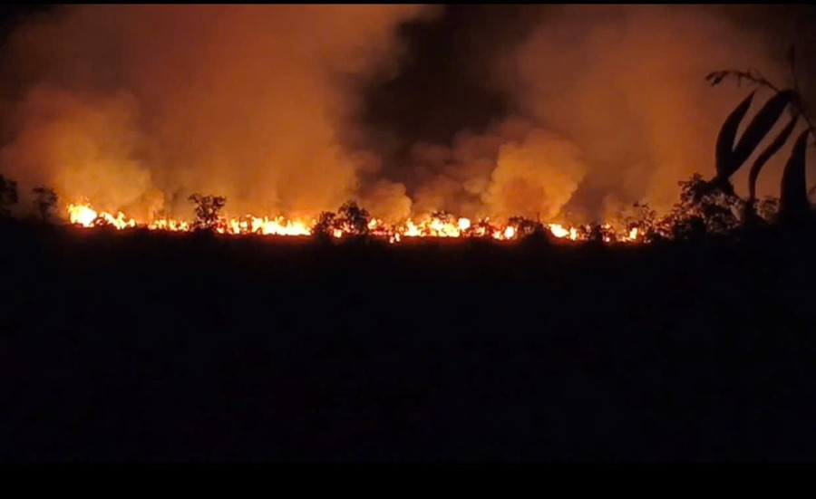 Hiện trường vụ cháy rừng tại An Giang.