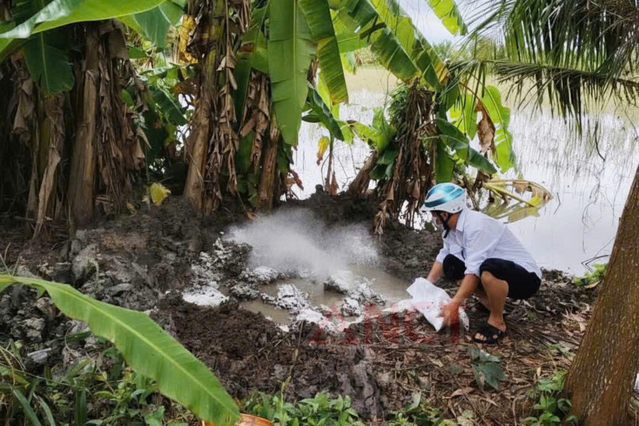 Tiêu hủy số thịt lợn nhiễm bệnh. Ảnh: Công an Cần Thơ. heo-benh.jpg