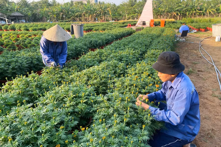 Em Dương Trọng Nghĩa cùng mẹ chăm sóc vườn hoa Đại Thành.
