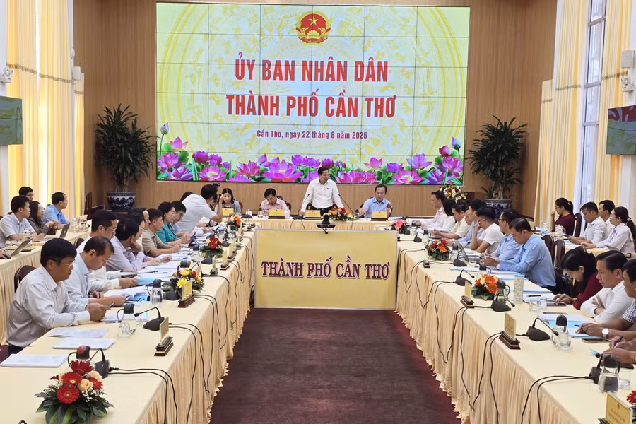 Quang cảnh buổi làm việc.