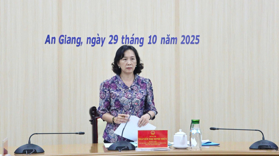 Bà Nguyễn Thị Minh Thúy, Phó Chủ tịch UBND tỉnh An Giang phát biểu tại buổi làm việc. noi-tru-ag-1.jpg