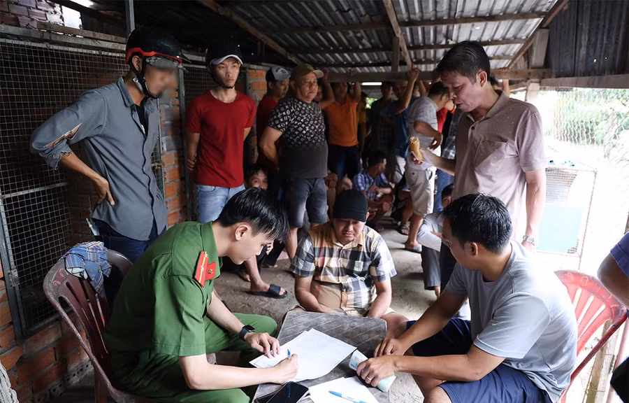 Lực lượng Công an bắt giữ 50 đối tượng liên quan tới sòng bạc đá gà. Ảnh: Tiến Tầm.