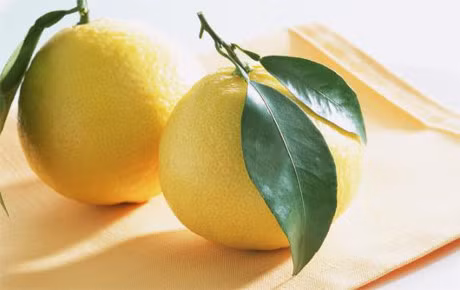 Be bi dau hong nen cho an nhung loai trai cay gi? - Anh 4