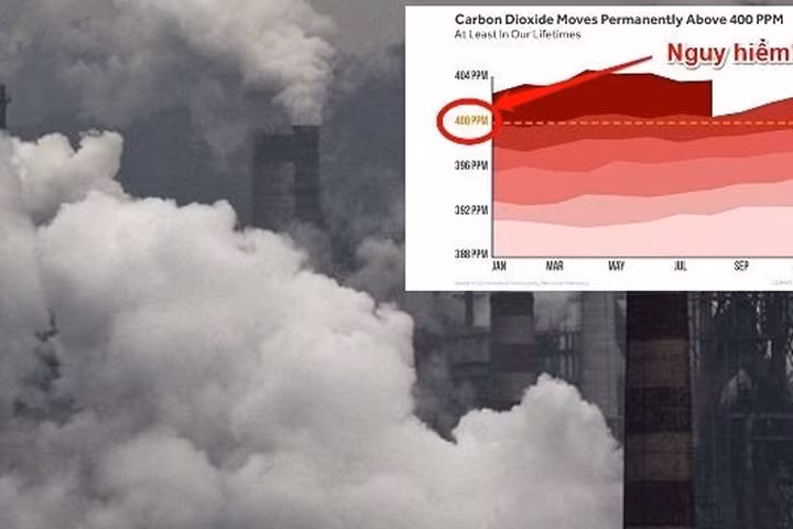 (Ảnh minh họa: internet)