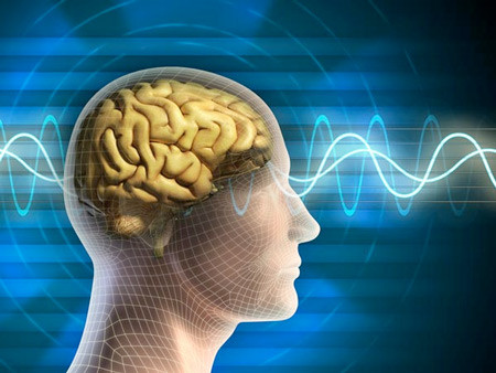 Những sự thật đáng sợ