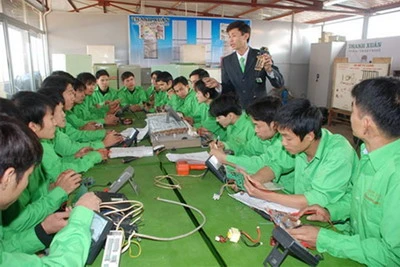 Những con đường lập nghiệp