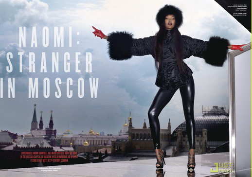 Khám phá "Báo đen" huyền bí ảnh 2