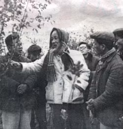 Ngày 26-1-1964, Bác thăm đồi cây Bạch Thạch của HTX Thắng Lợi, xã Vinh Quang (nay là xã Đào Xá) huyện Thanh Thủy - Phú Thọ