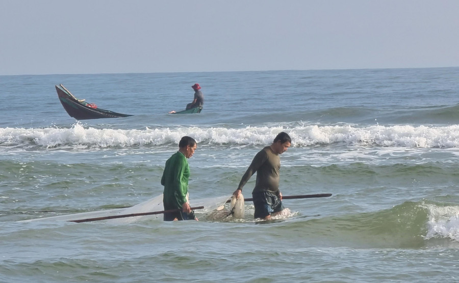 Ngư dân Quảng Trị dùng lưới đi dọc bờ biển để đánh bắt ruốc. Việc đánh bắt cũng có thể thực hiện bằng thuyền.