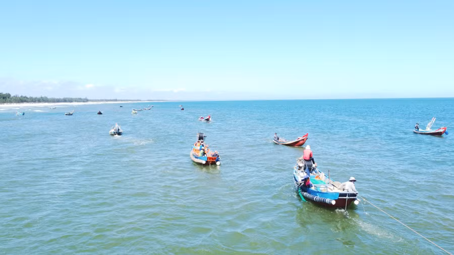 Sau các đợt biển động, nước lặng, ruốc xuất hiện nhiều, nên việc khai thác rất thuận lợi, nhờ đó, ngư dân có nguồn thu nhập khá cao.