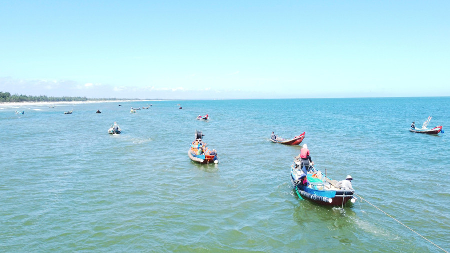 Sau các đợt biển động, nước lặng, ruốc xuất hiện nhiều, nên việc khai thác rất thuận lợi, nhờ đó, ngư dân có nguồn thu nhập khá cao.