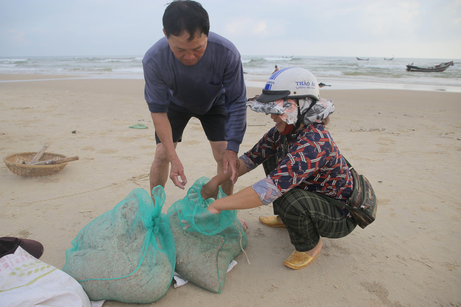 Mỗi chuyến đánh bắt ruốc biển kéo dài từ 15 đến 30 phút, sau khi đầy lưới thì lên bờ gom ruốc rồi lại tiếp tục. Năm nay ruốc xuất hiện khá nhiều, nên việc đánh bắt khá thuận lợi.