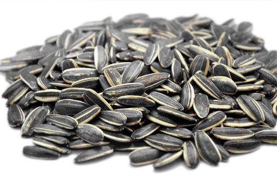 Những thực phẩm có khả năng chữa bệnh tuyệt vời ảnh 9 Những thực phẩm có khả năng chữa bệnh tuyệt vời ảnh 9