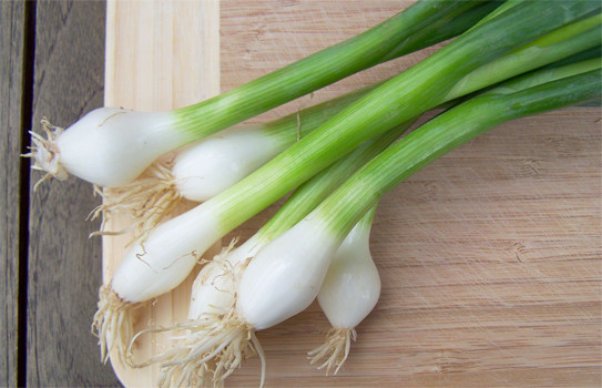 Những thực phẩm có khả năng chữa bệnh tuyệt vời ảnh 6 Những thực phẩm có khả năng chữa bệnh tuyệt vời ảnh 6