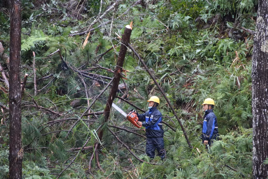 Điện lực Kon Plông khắc phục sự cố.