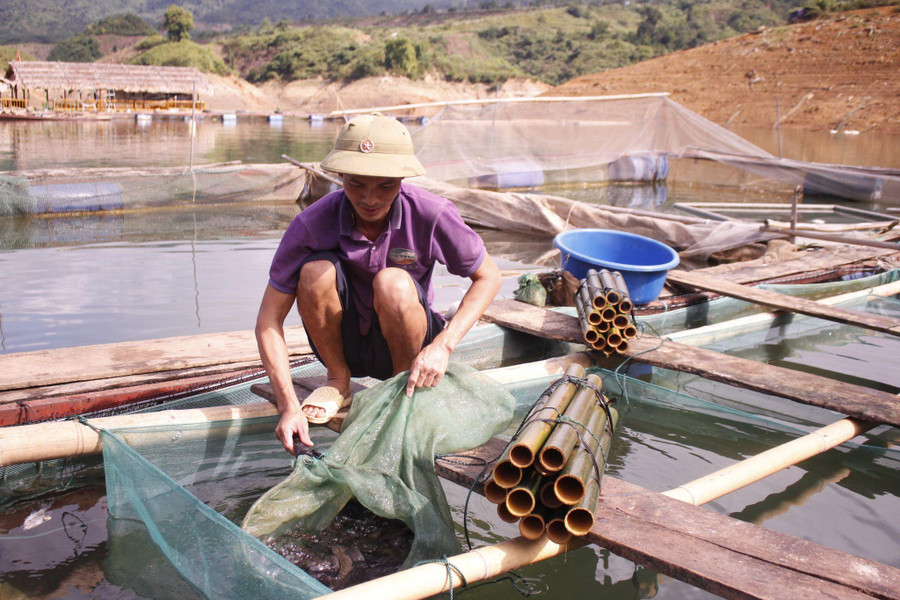 Tận dụng diện tích mặt nước lòng hồ thuỷ điện Lai Châu, người dân xã Mường Mô, huyện Nậm Nhùn phát triển nuôi cá lồng. Tận dụng diện tích mặt nước lòng hồ thuỷ điện Lai Châu, người dân xã Mường Mô, huyện Nậm Nhùn phát triển nuôi cá lồng.