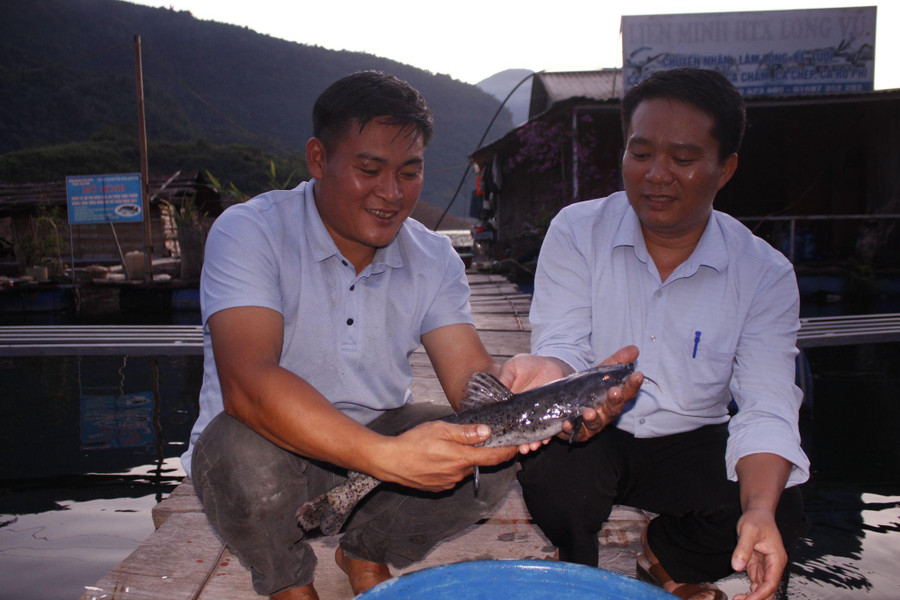 Cá lăng, cá chiên là 2 loại cá đặc sản, có giá trị kinh tế cao được các HTX, người dân nuôi nhiều, tạo nên thương hiệu cá trên thượng nguồn sông Đà. Cá lăng, cá chiên là 2 loại cá đặc sản, có giá trị kinh tế cao được các HTX, người dân nuôi nhiều, tạo nên thương hiệu cá trên thượng nguồn sông Đà.