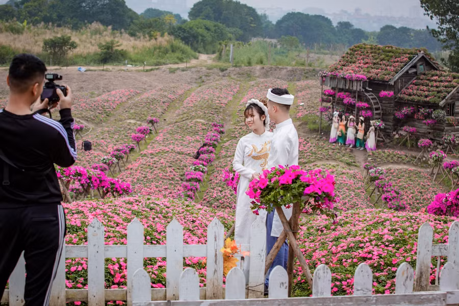 Rất nhiều cặp đôi đã lựa chọn nơi đây để chụp những bức hình cưới của mình.