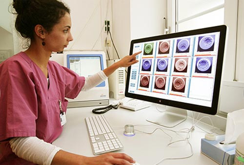 vô sinh, hiếm muộn, mang thai hộ, thụ tinh trong ống nghiệm, IVF vô sinh, hiếm muộn, mang thai hộ, thụ tinh trong ống nghiệm, IVF