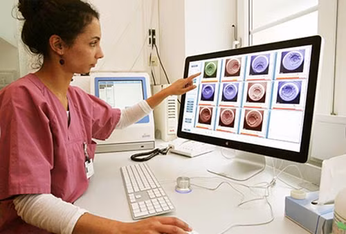 vô sinh, hiếm muộn, mang thai hộ, thụ tinh trong ống nghiệm, IVF vô sinh, hiếm muộn, mang thai hộ, thụ tinh trong ống nghiệm, IVF