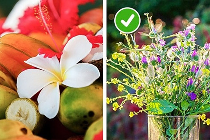 10 mẹo hay giữ hoa tươi lâu chị em nên biết