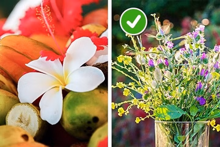10 mẹo hay giữ hoa tươi lâu chị em nên biết
