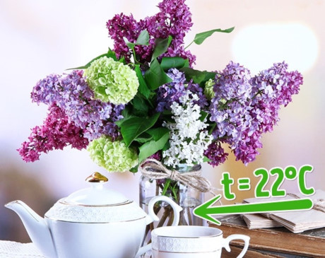 10 mẹo hay giữ hoa tươi lâu chị em nên biết - Ảnh 3 10 meo hay giu hoa tuoi lau chi em nen biet - Anh 3