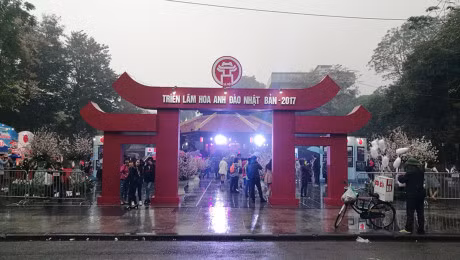 Nghin nguoi doi mua ngam hoa anh dao o Ha Noi - Anh 17