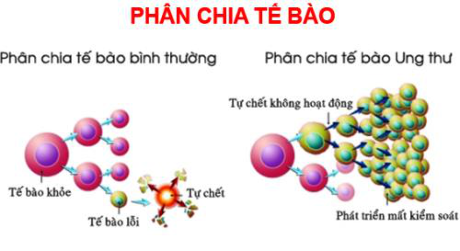 Giải đáp 11 thắc mắc phổ biến về ung thư - Ảnh 1 Giai dap 11 thac mac pho bien ve ung thu - Anh 1