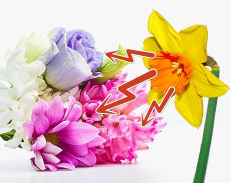 10 mẹo hay giữ hoa tươi lâu chị em nên biết - Ảnh 10 10 meo hay giu hoa tuoi lau chi em nen biet - Anh 10