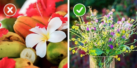 10 mẹo hay giữ hoa tươi lâu chị em nên biết - Ảnh 8 10 meo hay giu hoa tuoi lau chi em nen biet - Anh 8